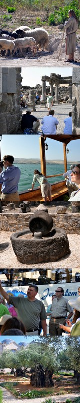 Tours in lsrael and the Holy lands